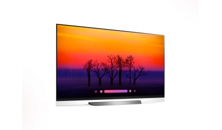 تلویزیون OLED 55 اینچ ال جی مدل E8PUA | E8 - تصویر 6