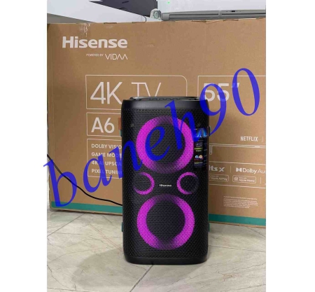 سیستم صوتی پارتی راکر هایسنس مدل HP100 - تصویر 8